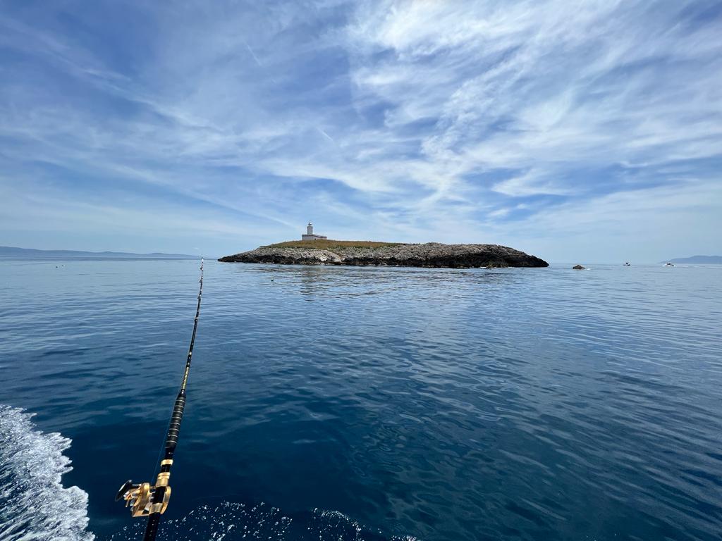 Formiche di Grosseto